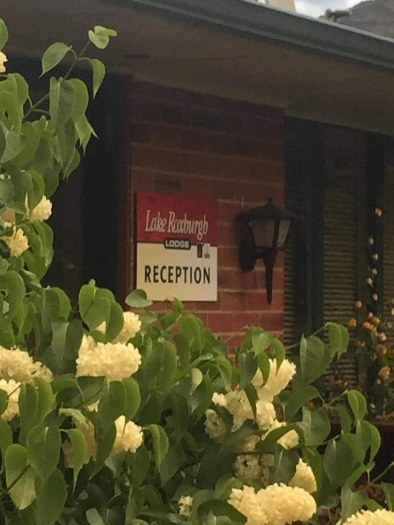 Lake Roxburgh Lodge Exterior foto
